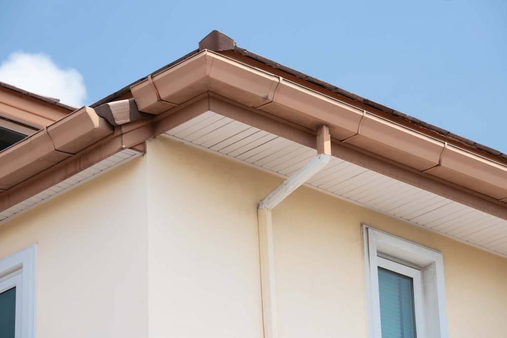 banner (2).jpeg